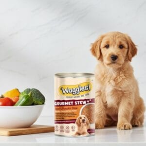 Dog Gourmet Beef & Pumpkin Stew wet dog food for adult dogs