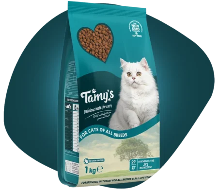 Tasty premium Tammy Cat Food 1kg for adult cats in Pakistan
