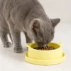 Grey cat eating dry food from a yellow bear-shaped anti-ant bowl