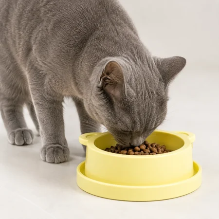 Grey cat eating dry food from a yellow bear-shaped anti-ant bowl