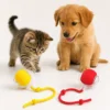 Kitten and puppy playing with yellow and red P02 smart rolling pet balls