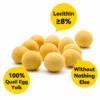 Ranova freeze-dried quail egg yolk treats with 8% lecithin