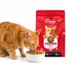 Orange cat eating Crunchy Cat Food Chicken from a bowl