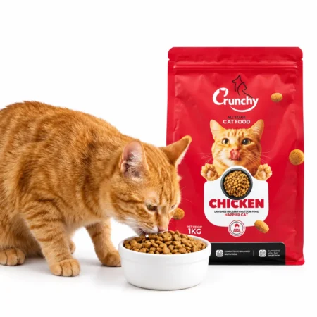 Orange cat eating Crunchy Cat Food Chicken from a bowl