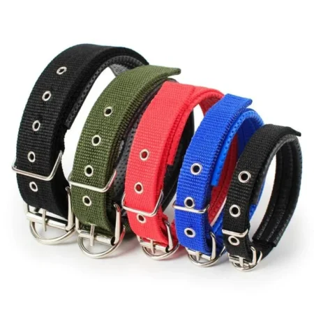 Soft Collar Puppy and Dog